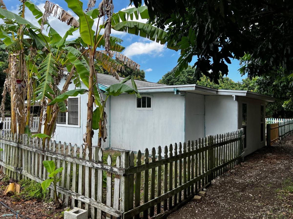 Maria's Holiday home Homestead