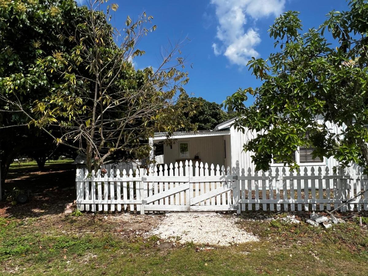 Maria's Homestead